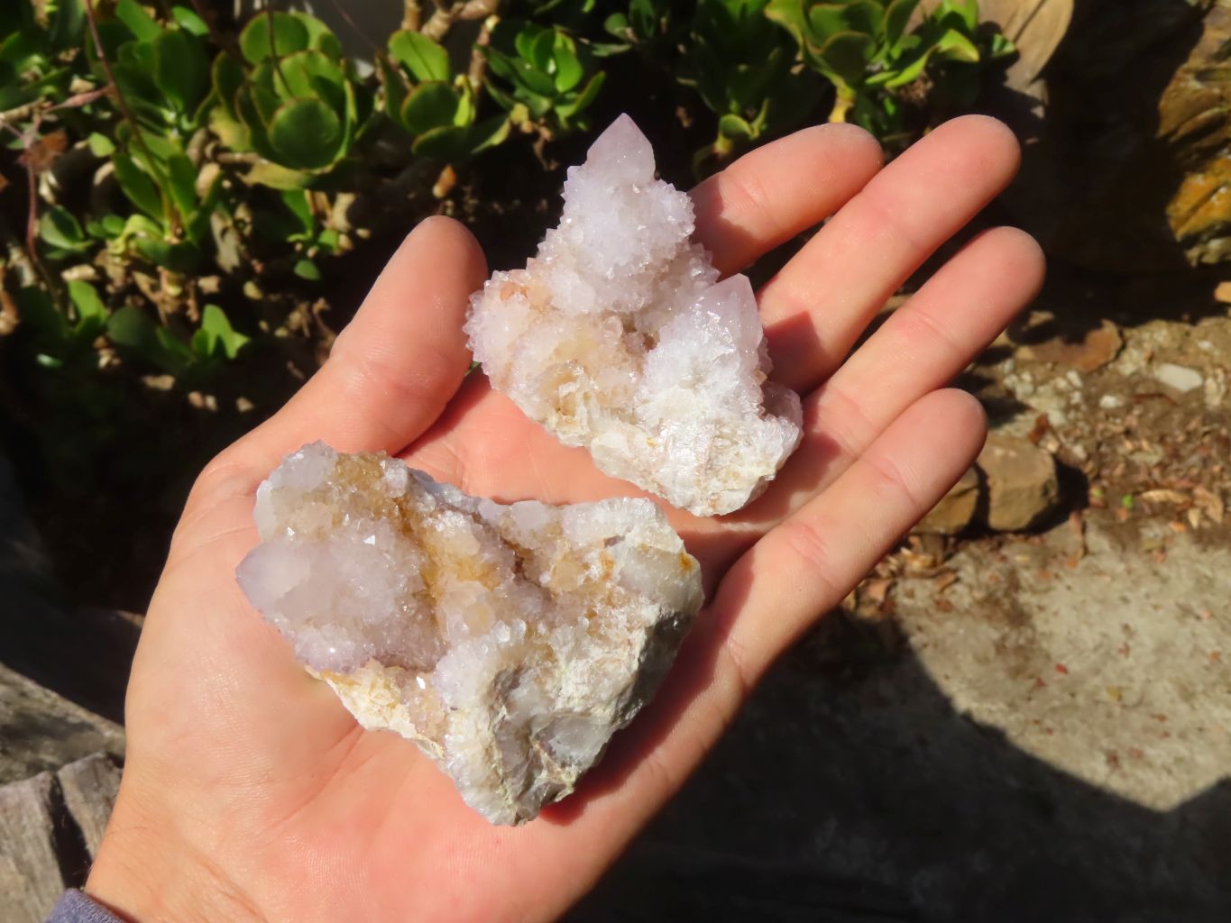 Natural Pale Lilac Spirit Quartz Clusters x 12 From Boekenhouthoek, South Africa - Toprock Gemstones and Minerals 