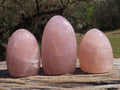 Polished Pink Rose Quartz Standing Free Forms  x 3 From Madagascar - TopRock