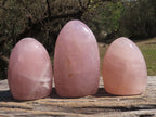 Polished Pink Rose Quartz Standing Free Forms  x 3 From Madagascar - TopRock