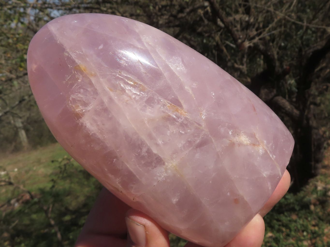 Polished Pink Rose Quartz Standing Free Forms  x 3 From Madagascar - TopRock