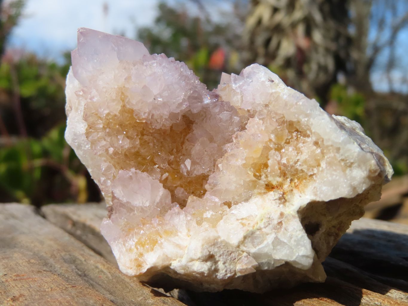 Natural Pale Lilac Spirit Quartz Clusters x 12 From Boekenhouthoek, South Africa - Toprock Gemstones and Minerals 
