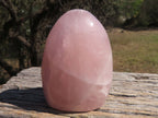 Polished Pink Rose Quartz Standing Free Forms  x 3 From Madagascar - TopRock