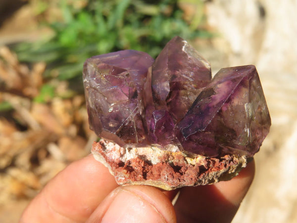 Natural Smokey Amethyst Window Quartz Crystals  x 12 From Chiredzi, Zimbabwe