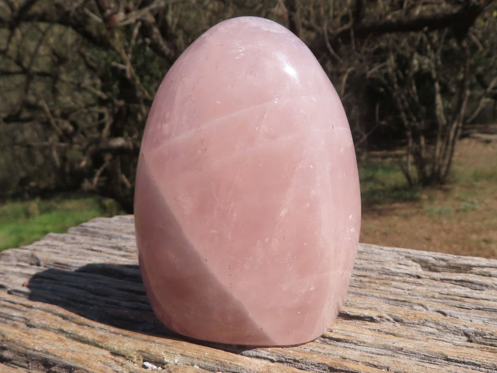 Polished Pink Rose Quartz Standing Free Forms  x 3 From Madagascar - TopRock