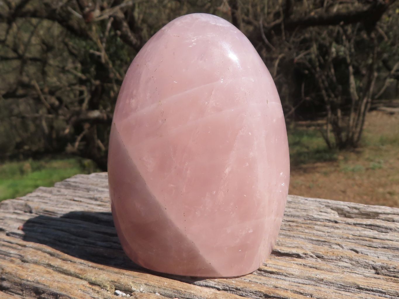 Polished Pink Rose Quartz Standing Free Forms  x 3 From Madagascar - TopRock