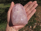 Polished Pink Rose Quartz Standing Free Forms  x 3 From Madagascar - TopRock