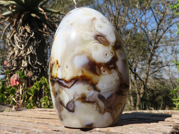 Polished Stunning Dendritic Agate Standing Free Form  x 1 From Moralambo, Madagascar - Toprock Gemstones and Minerals 