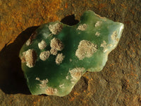 Polished On One Side Emerald Mtorolite Plates x 12 From Mutorashanga, Zimbabwe - Toprock Gemstones and Minerals 