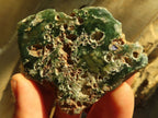 Polished On One Side Emerald Mtorolite Plates x 12 From Mutorashanga, Zimbabwe - Toprock Gemstones and Minerals 