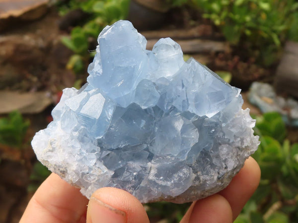 Natural Blue Celestite Crystal Specimens  x 5 From Sakoany, Madagascar
