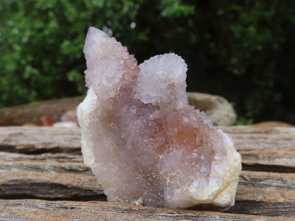 Natural Small Mixed Spirit Quartz Clusters  x 35 From Boekenhouthoek, South Africa - TopRock
