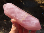 Polished Double Terminated Rose Quartz Point & Pyramid x 2 From Antsirabe, Madagascar - Toprock Gemstones and Minerals 