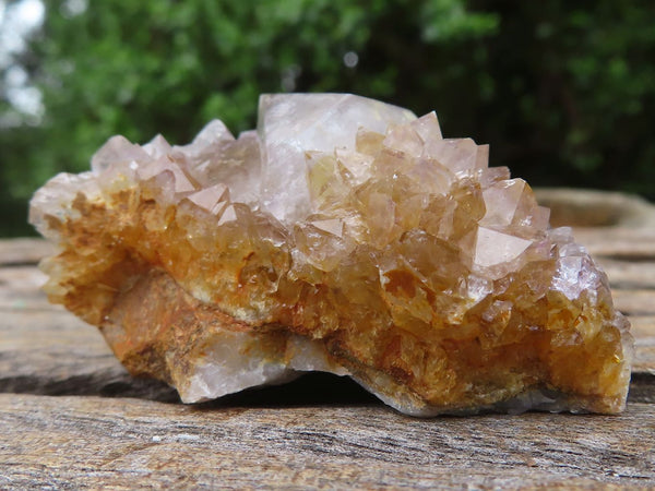 Natural Small Mixed Spirit Quartz Clusters  x 35 From Boekenhouthoek, South Africa - TopRock