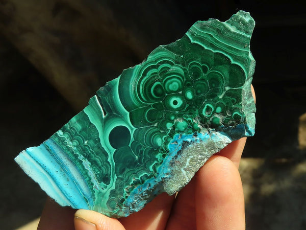 Polished Gorgeous Malacholla (Malachite & Chrysocolla) Slices  x 24 From Congo - Toprock Gemstones and Minerals 