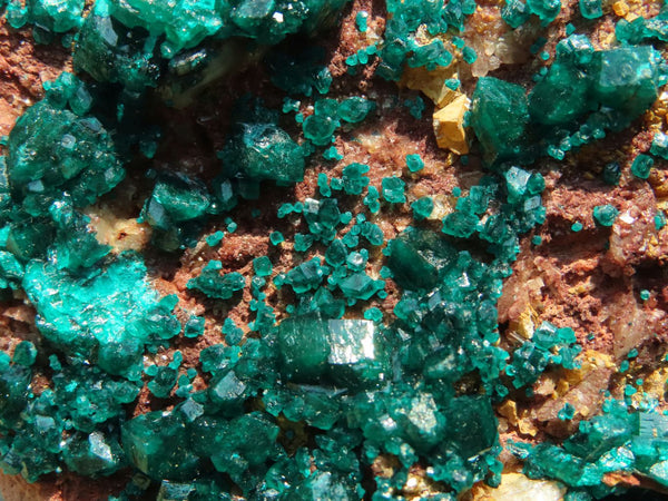 Natural Gorgeous Cabinet Dioptase Specimen, Deep Shiny Emerald Green Crystals On Calcite & Rouge Dolomite Matrix x 1 From Renneville Brazzaville, Congo - TopRock