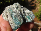 Natural Rare Emerald Mica In Matrix Cobbed Specimens x 35 From Mutoko, Zimbabwe - Toprock Gemstones and Minerals 