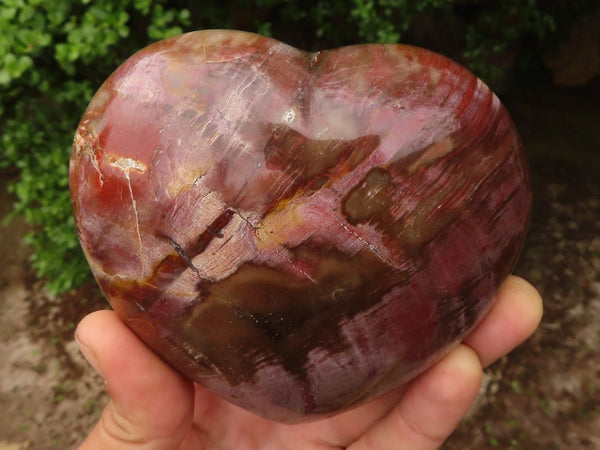 Polished Petrified Red Podocarpus Wood Hearts  x 2 From Mahajanga, Madagascar - Toprock Gemstones and Minerals 