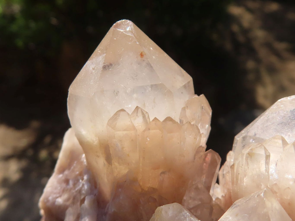 Natural Cascading White Phantom Smokey Quartz Clusters  x 6 From Luena, Congo - Toprock Gemstones and Minerals 