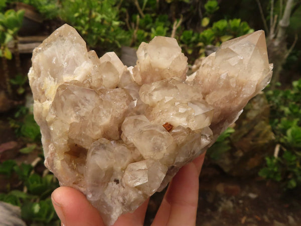 Natural Cascading White Phantom Smokey Quartz Clusters  x 3 From Luena, Congo - Toprock Gemstones and Minerals 