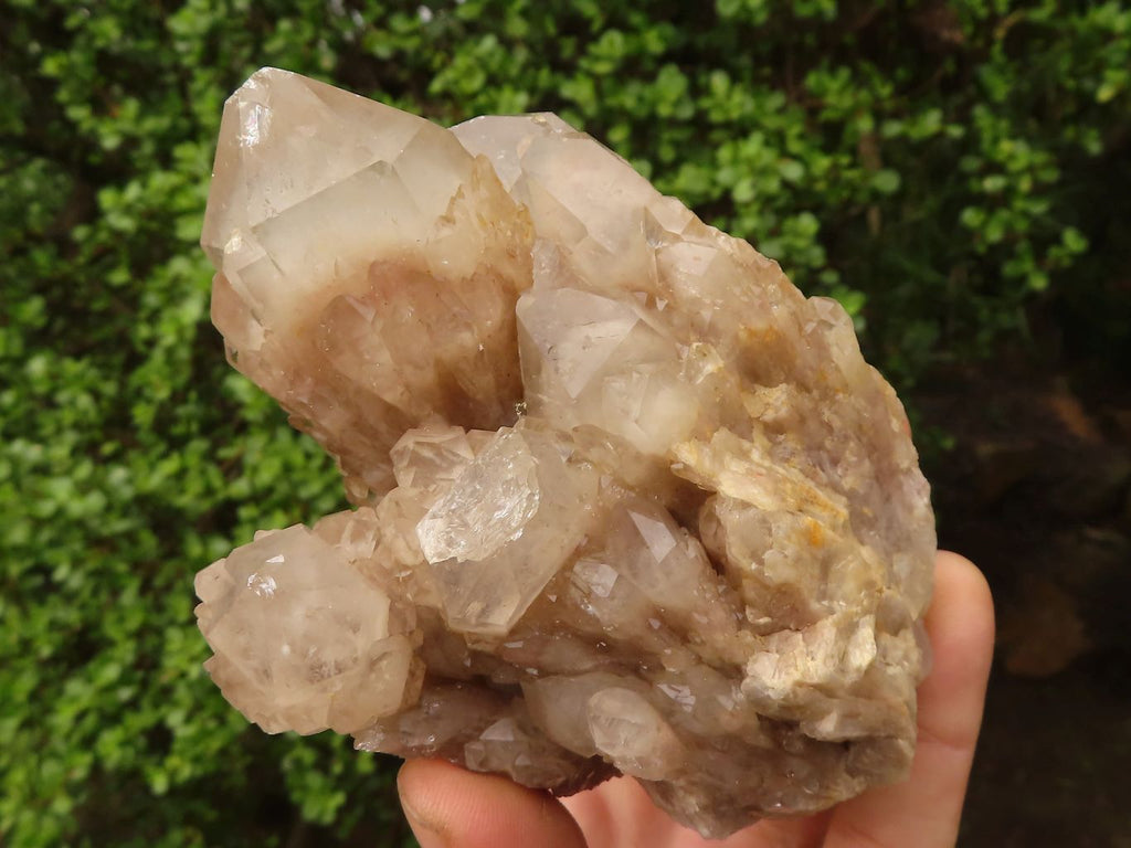 Natural Cascading White Phantom Smokey Quartz Clusters  x 3 From Luena, Congo - Toprock Gemstones and Minerals 