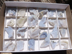 Natural Etched Blue Chalcedony Specimens  x 20 From Malawi - TopRock