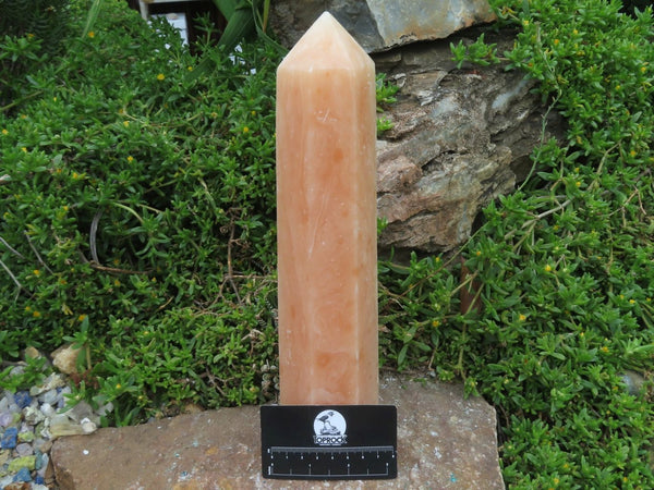 Polished Orange Twist Calcite Crystal Point x 1 From Madagascar - TopRock