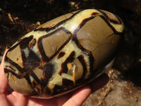 Polished Large Septerye Standing Free Form x 1 From Mahajanga, Madagascar - Toprock Gemstones and Minerals 