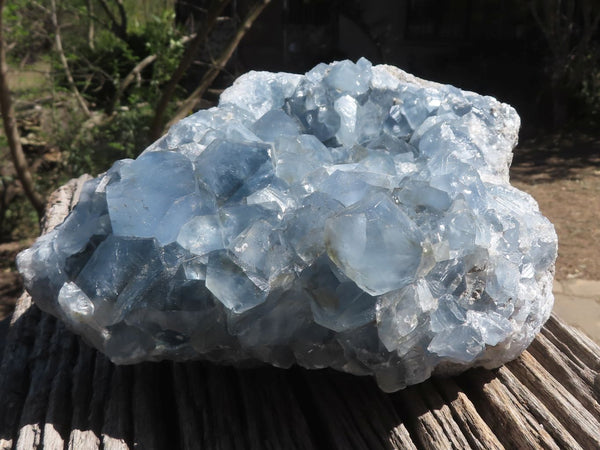 Natural Blue Celestite Cluster With Cubic Crystals  x 1 From Sakoany, Madagascar