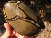 Polished Large Septerye Standing Free Form x 1 From Mahajanga, Madagascar - Toprock Gemstones and Minerals 