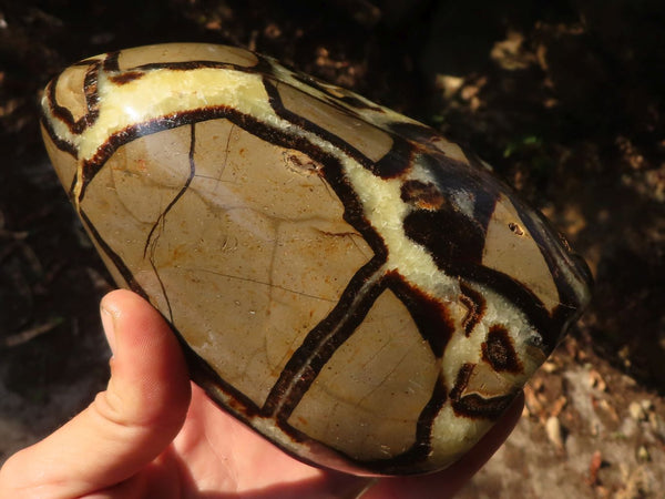 Polished Large Septerye Standing Free Form x 1 From Mahajanga, Madagascar - Toprock Gemstones and Minerals 