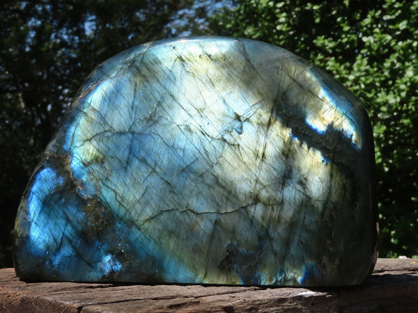 Polished Extra Large Flashy Labradorite Standing Free Form x 1 From Tulear, Madagascar - TopRock