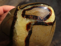 Polished Large Septerye Standing Free Form x 1 From Mahajanga, Madagascar - Toprock Gemstones and Minerals 