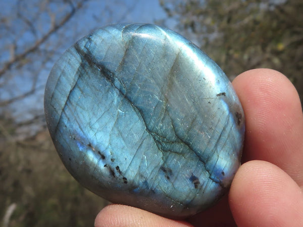 Polished Flashy Blue & Gold Labradorite Gallets  x 20 From Tulear, Madagascar - TopRock