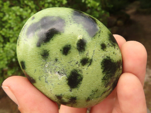 Polished Spotted Leopard Stone Gallets  x 6 From Zimbabwe - Toprock Gemstones and Minerals 