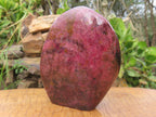 Polished Red Rhodonite x 2 Free Forms x 1 Free Form Cut To Stand x 3 From Zimbabwe - TopRock