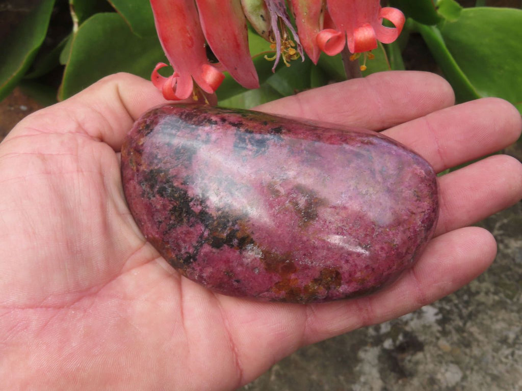 Polished Red Rhodonite x 2 Free Forms x 1 Free Form Cut To Stand x 3 From Zimbabwe - TopRock