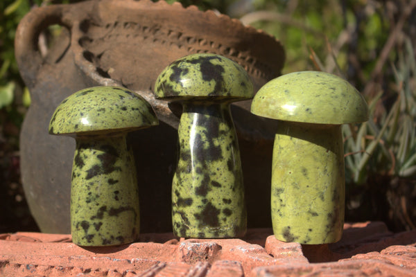 Polished Green Leopard Stone Mushroom Carvings  x 6 From Shamva, Zimbabwe - TopRock