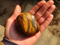 Polished Golden Tigers Eye Free Forms x 6 From Prieska, Northern Cape