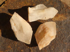 Natural Single Pineapple Candle Quartz Crystals  x 31 From Madagascar - Toprock Gemstones and Minerals 