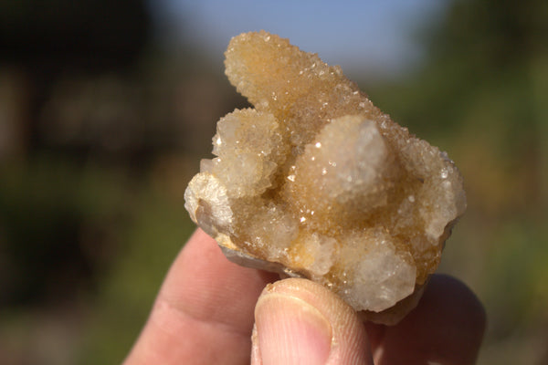Natural Mixed Selection Of Small Spirit Quartz Clusters  x 35 From Boekenhouthoek, South Africa - TopRock