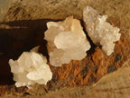 Natural Mixed Quartz Clusters  x 35 From Southern Africa - Toprock Gemstones and Minerals 