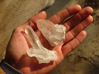 Natural Mixed Quartz Clusters  x 35 From Southern Africa - Toprock Gemstones and Minerals 