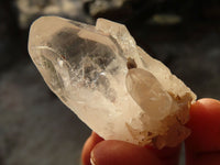Natural Mixed Quartz Clusters  x 35 From Southern Africa - Toprock Gemstones and Minerals 