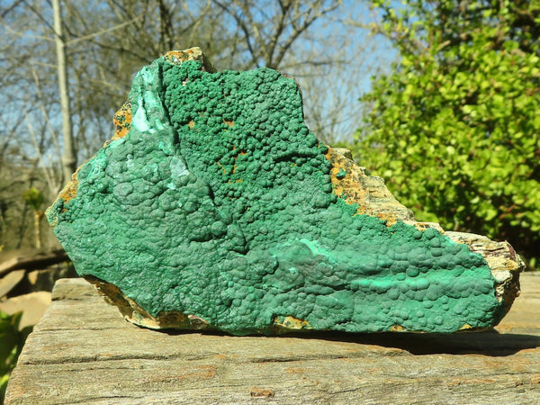Natural Micro Botryoidal Crystalline Malachite Specimens  x 3 From Congo - Toprock Gemstones and Minerals 