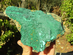 Natural Micro Botryoidal Crystalline Malachite Specimens  x 3 From Congo - Toprock Gemstones and Minerals 