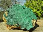 Natural Micro Botryoidal Crystalline Malachite Specimens  x 3 From Congo - Toprock Gemstones and Minerals 