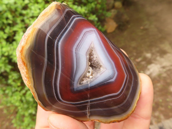 Polished Gorgeous Banded River Agate Nodules  x 6 From Sashe River, Zimbabwe - Toprock Gemstones and Minerals 