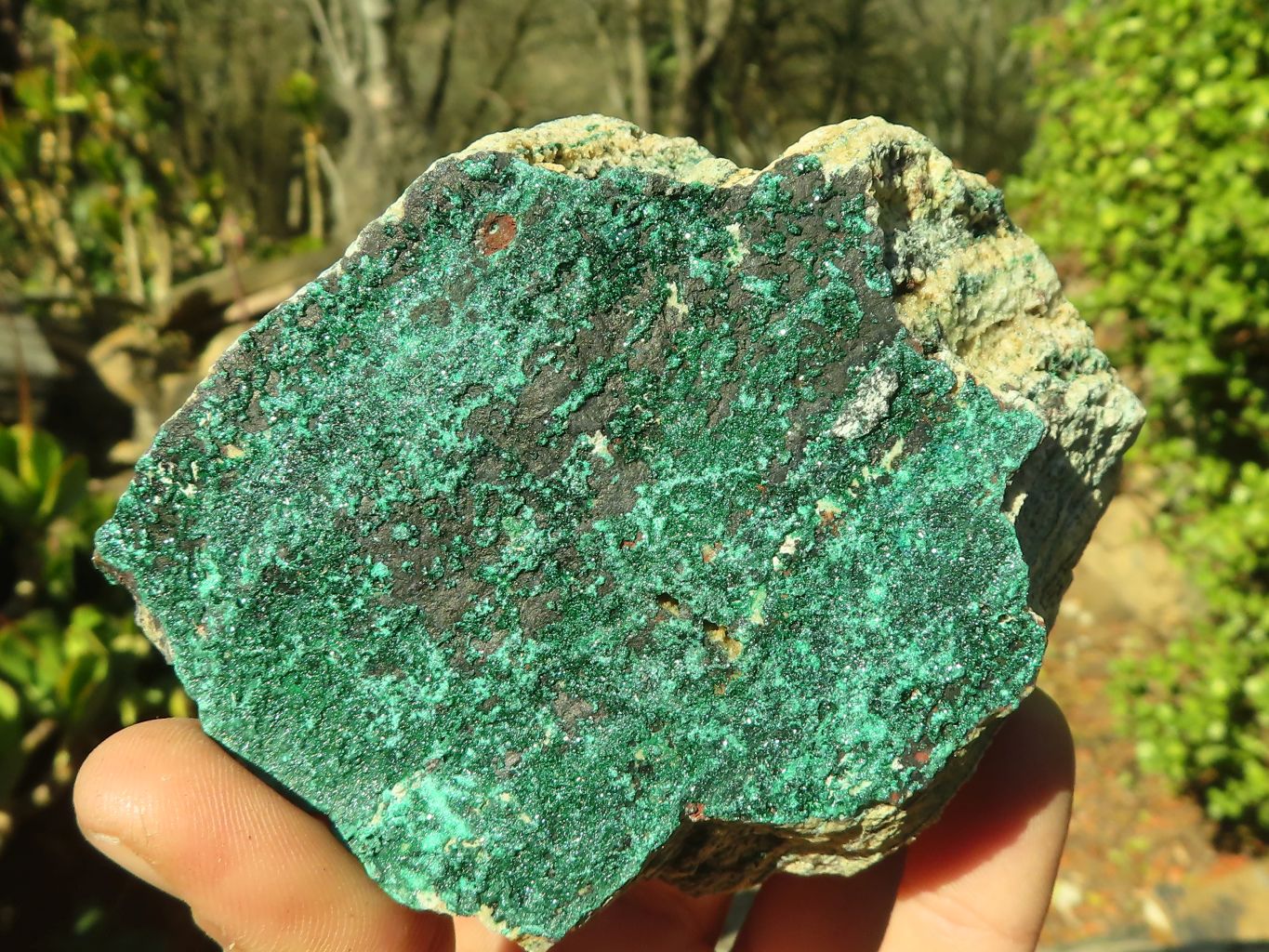 Natural Micro Botryoidal Crystalline Malachite Specimens  x 3 From Congo - Toprock Gemstones and Minerals 