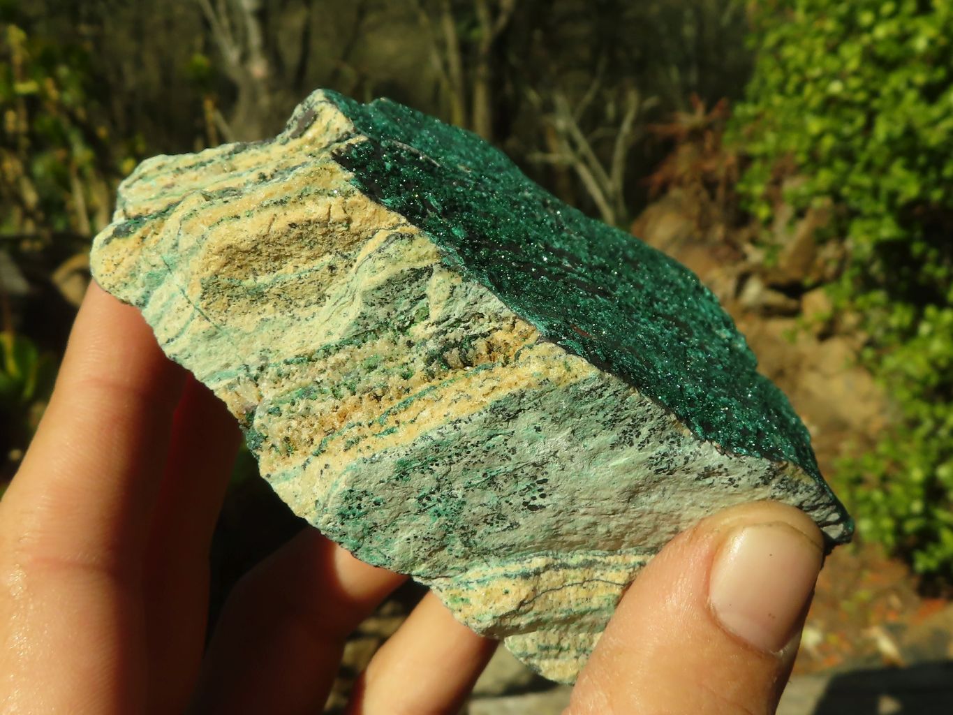 Natural Micro Botryoidal Crystalline Malachite Specimens  x 3 From Congo - Toprock Gemstones and Minerals 