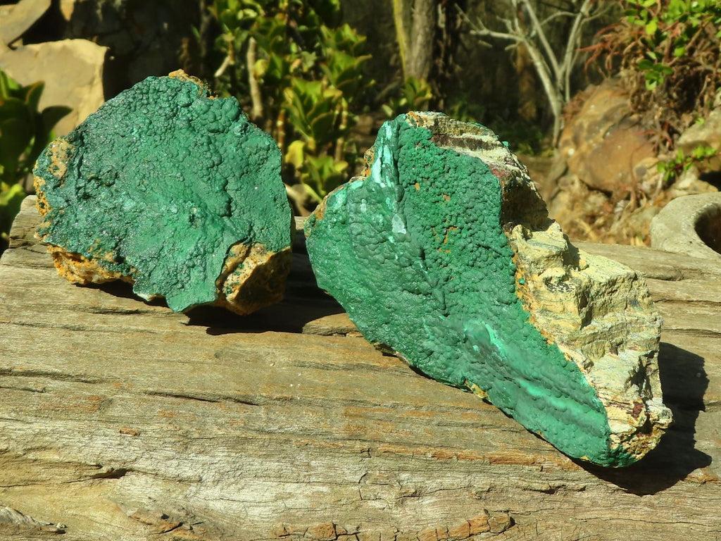 Natural Micro Botryoidal Crystalline Malachite Specimens  x 3 From Congo - Toprock Gemstones and Minerals 